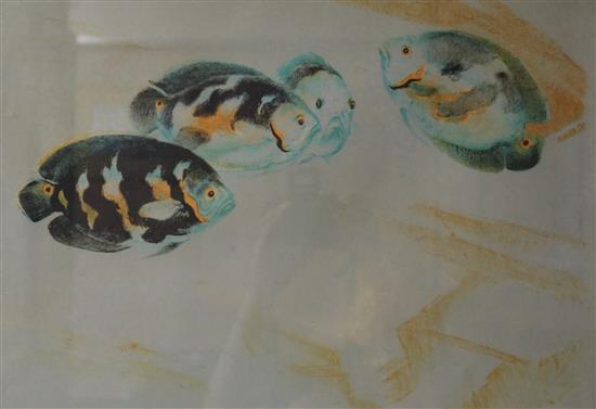 Henry Holzter, print of fish, 31 x 45cm